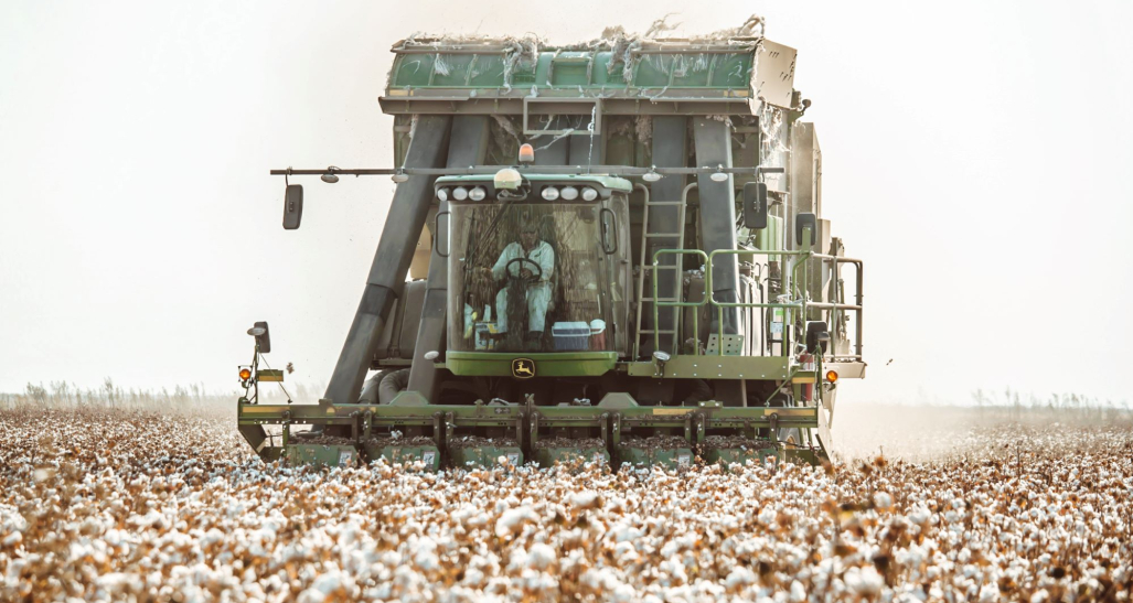 Cotton harvester